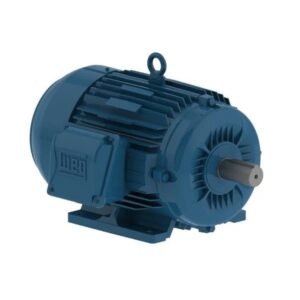Motor Elétrico WEG 10 CV 4 Polos 132S 220/380/440V